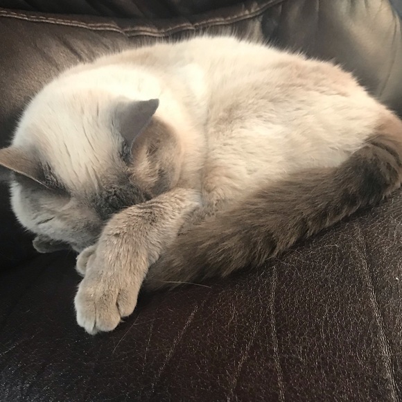 Meet your Posher, Le - Picture 1 of 1